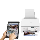 6256C006-11.webp