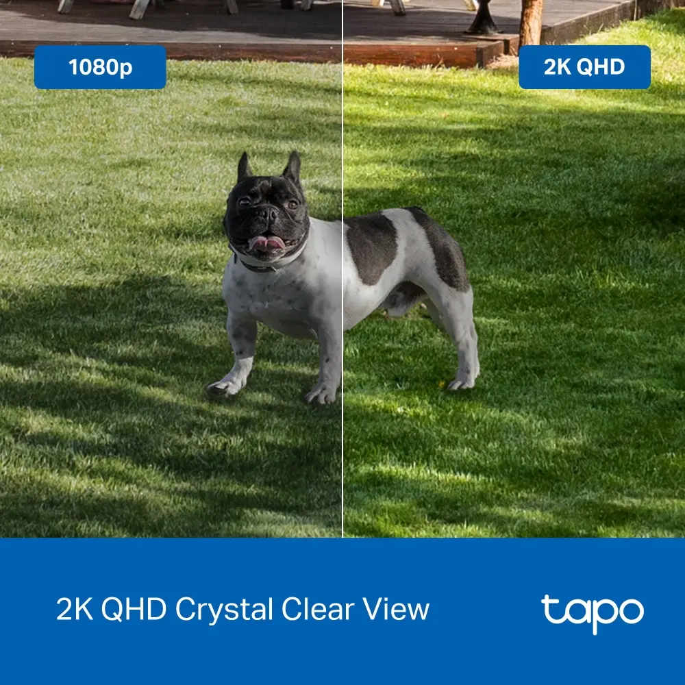TAPO C425-9.webp
