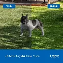 TAPO C425-9.webp