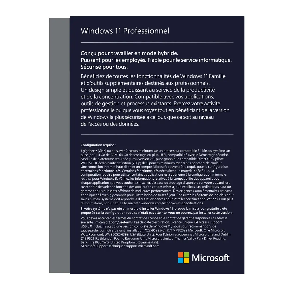 Windows-11-Professionnel-3.webp
