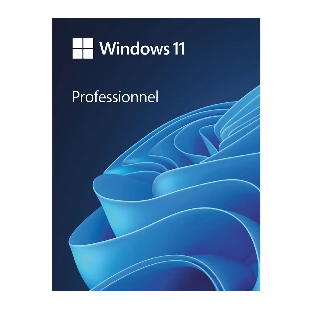 Windows-11-Professionnel-2.webp