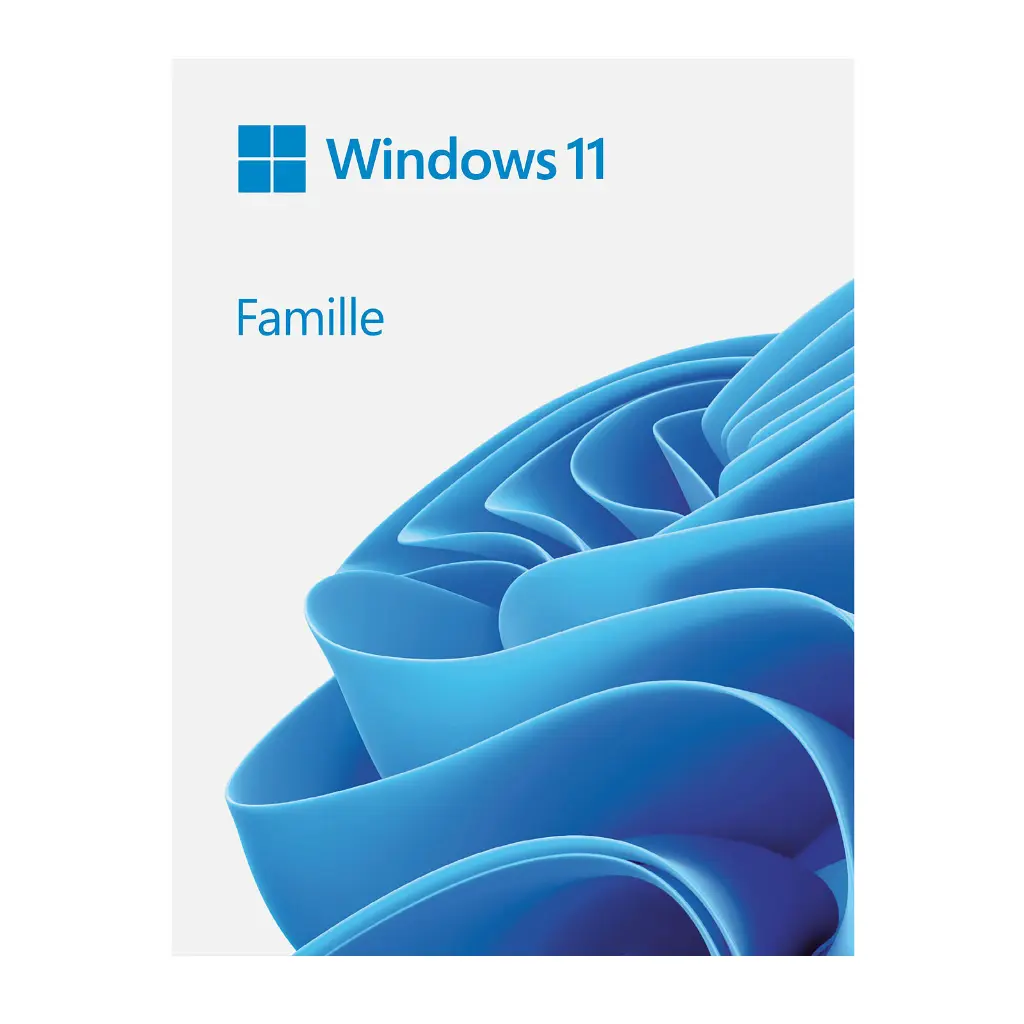 Windows-11-Home-2.webp
