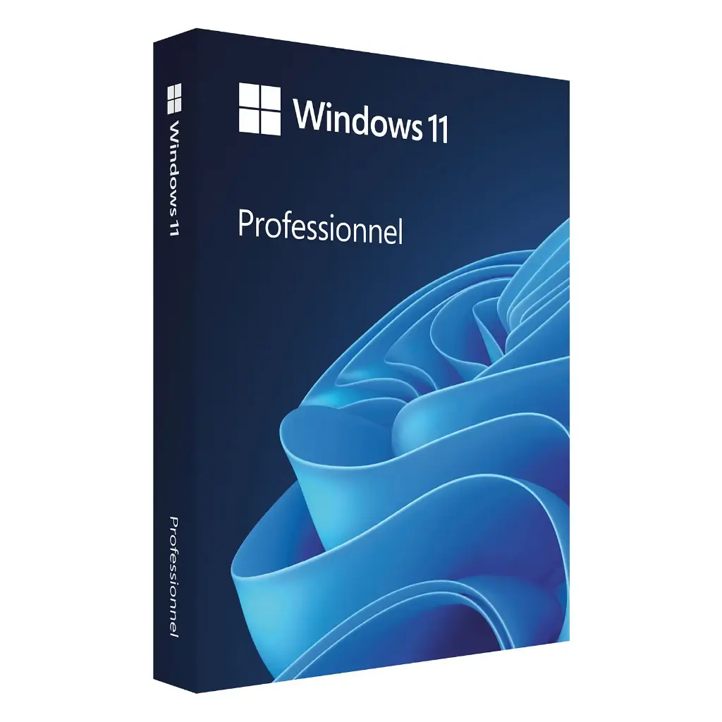 Windows 11 Professionnel (Clef USB)